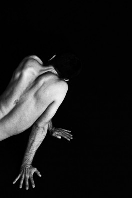 Until I Gush Forth, 2017 