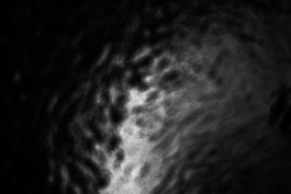 Until I Gush Forth, 2017 