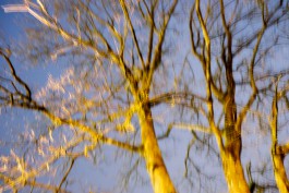 A Form of Madness, 2016 