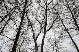 A Form of Madness, 2016 