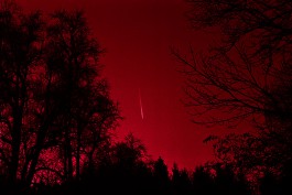 Until I Gush Forth, 2017 