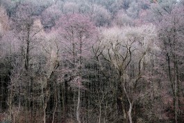 A Form of Madness, 2016 