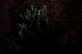 Until I Gush Forth, 2017 