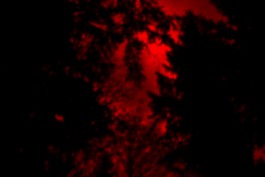 Until I Gush Forth, 2017 