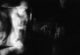 Until I Gush Forth, 2017 