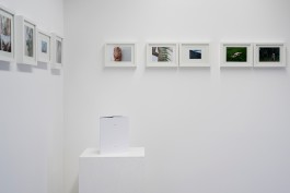 'Somos' exhibition view by Claudia N Lehmann 