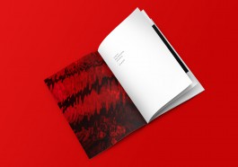 Until I Gush Forth Zine 